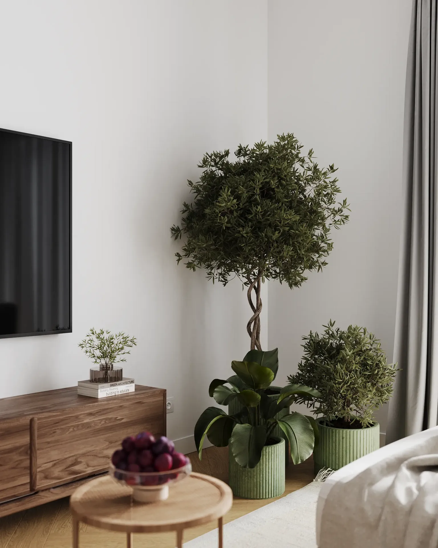 Gros plan sur un coin de plantes d'intérieur près de la zone TV.