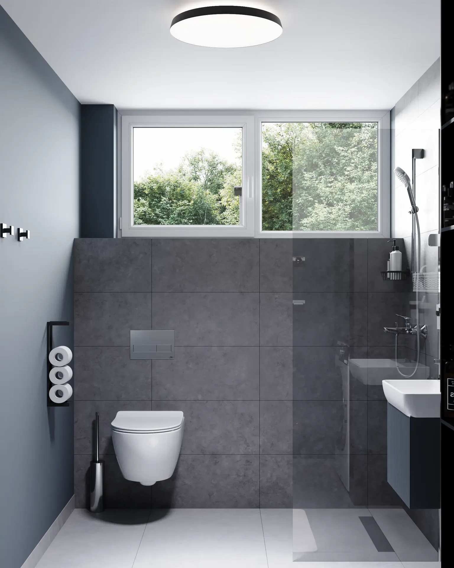 Vue de face d'une installation de toilettes et d'un espace douche.